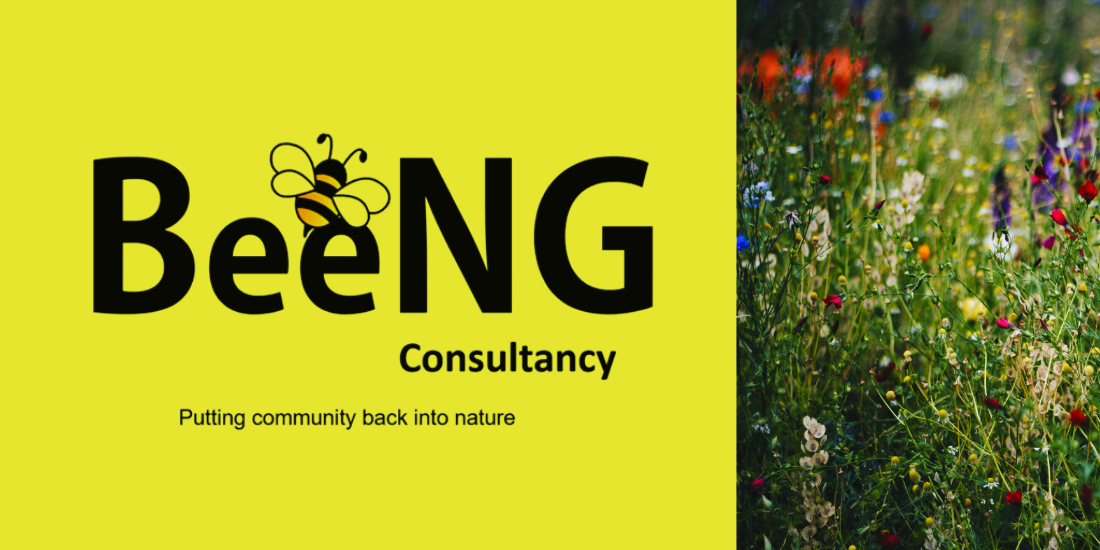BeeNG consultancy visual