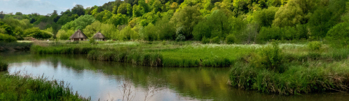 Challenge 1 – Sustainability of wetlands for the economy, environment and society